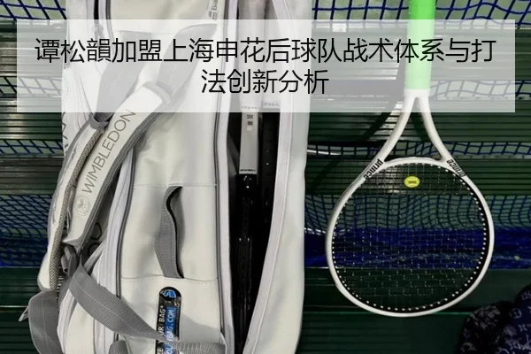 谭松韻加盟上海申花后球队战术体系与打法创新分析