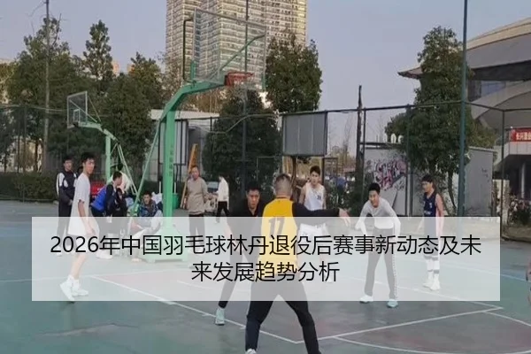 2026年中国羽毛球林丹退役后赛事新动态及未来发展趋势分析
